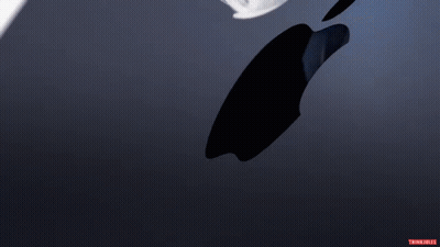 Blue And White Feather Trina Jared GIF
