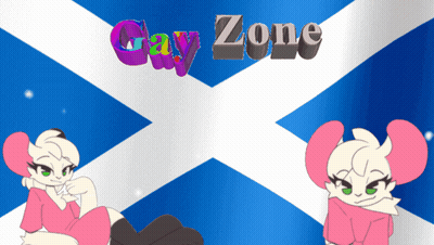 Blue And White Flag Saying Gay Zone GIF