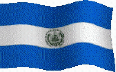 Blue And White Flag Waving In Wind GIF