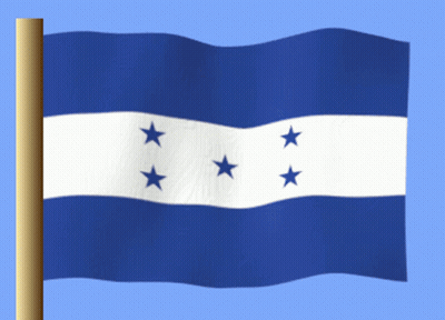 Blue And White Flag With Four Blue Stars GIF