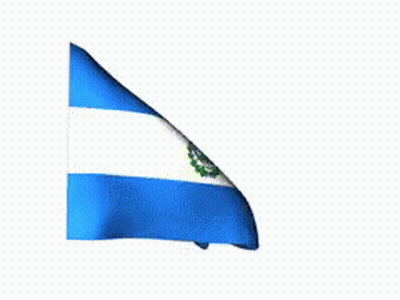 Blue And White Flag With Green Eagle GIF