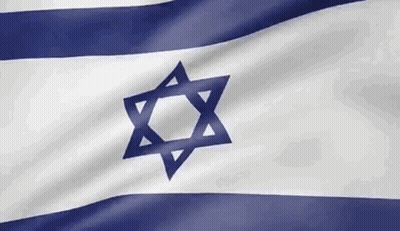 Blue And White Flag With Star GIF