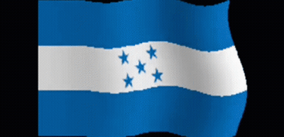 Blue And White Flag With Three Blue Stars GIF
