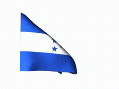 Blue And White Flag With Three Stars GIF