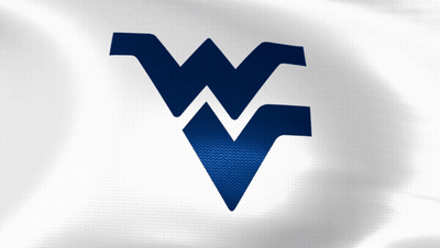 Blue And White Flag With W GIF