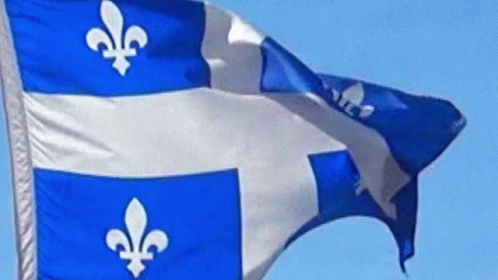 Blue And White Flag With White Lily GIF