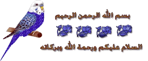 Blue And White Parakeet Sitting Next To Arabic Writing Sticker