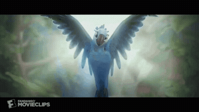 Loro azul y blanco volando con logo de Fandango Movieclips GIF