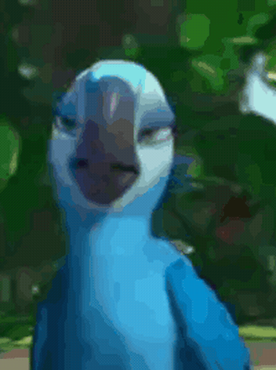 Loro azul y blanco con ojos cerrados GIF