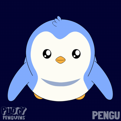 Blue And White Penguin Named Pengu GIF