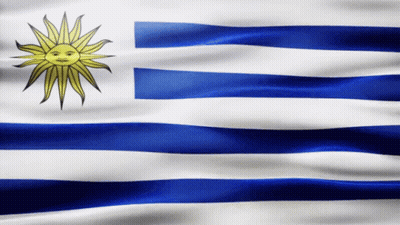 Blue And White Striped Flag With Sun GIF