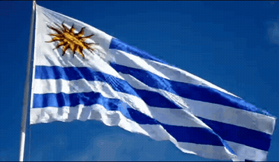 Blue And White Striped Flag With Yellow Sun GIF