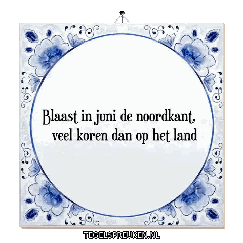 Blue And White Tile Blaast Juni Noordkant Sticker