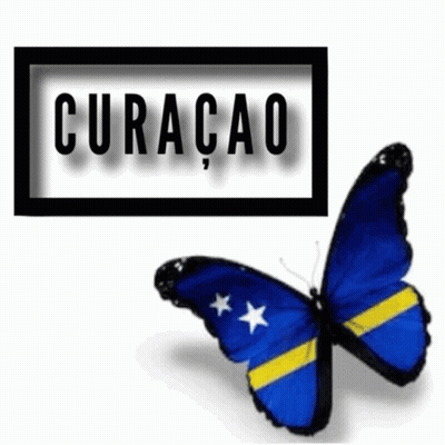 Blue And Yellow Butterfly Flying In Front Of Curaçao Sign GIF