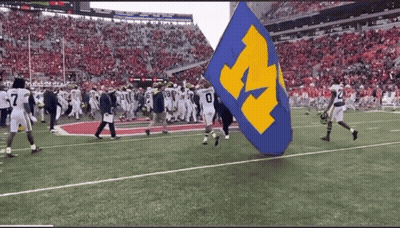 Blue And Yellow Flag With Letter M Carried By Football Players GIF