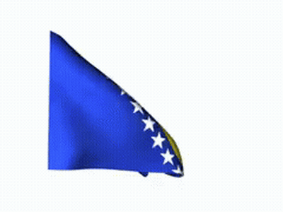 Blue And Yellow Flag With Stars GIF