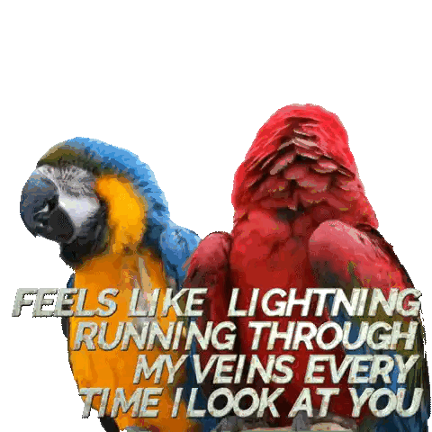 Blue And Yellow Parrot Feels Like Lightning Sticker