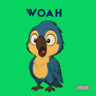 Blue And Yellow Parrot Saying Woah GIF