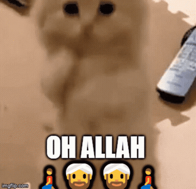 Blue Background Allah GIF