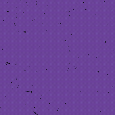 Blue Background Devil Rays Win Yellow GIF