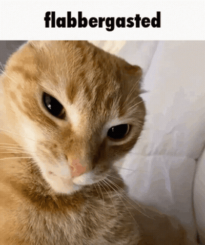 Blue Background Enters Chat GIF