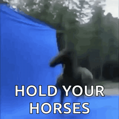 Blue Background Horse Saying Hold Your Horses GIF