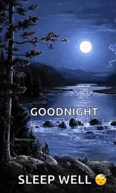Blue Background Together Is A Very Beautiful Place To Be GIF