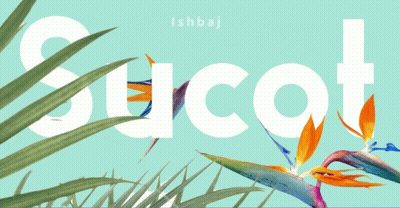 Blue Background With Sucat In White Letters GIF