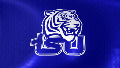 Blue Background With Tiger And Letters Tsu GIF