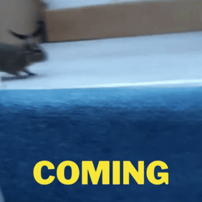 Blue Background Yellow Text Coming GIF