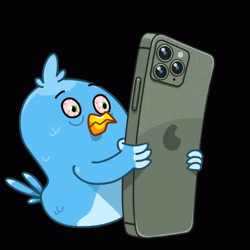 Blue Bird Banging Head On Iphone 14 Pro GIF