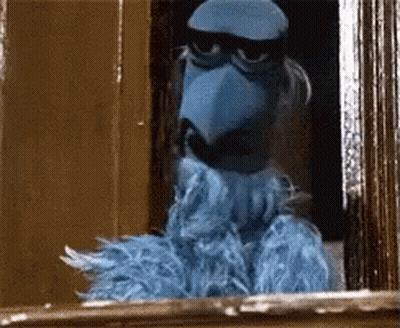 Blue Bird Looking Out Window GIF