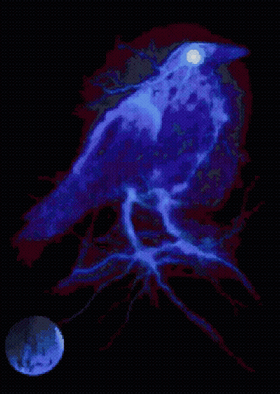 Blue Bird Sitting On Tree Branch With Full Moon GIF