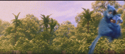 Blue Bird Standing In Forest GIF
