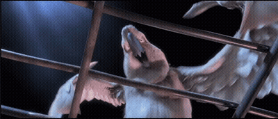 Blue Bird With Long Neck Standing In Front Of Green Leaves GIF