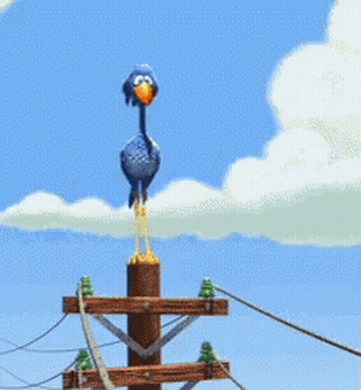 Blue Bird With Yellow Beak In Blue Sky GIF