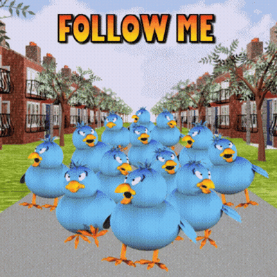 Blue Birds Walking Down Street Saying Follow Me