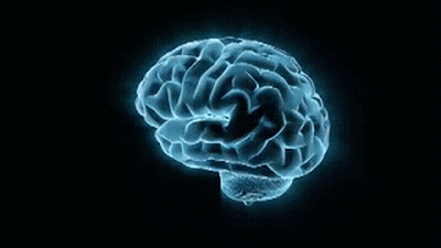 Blue Brain Glowing In The Dark GIF