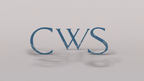 Blue Bucket With Soap And WS GIF
