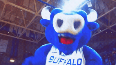 Blue Buffalo Mascot Wearing White Shirt GIF