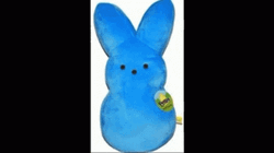 Blue Bunny Peeps GIF