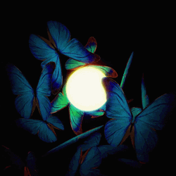 Blue Butterflies Light Bulb