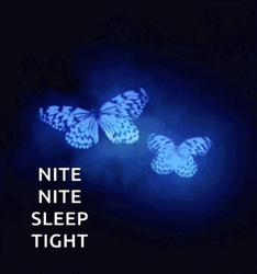 Blue Butterflies Sleep Tight