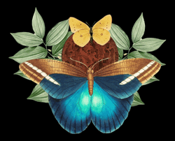 Blue Butterfly Collage Art