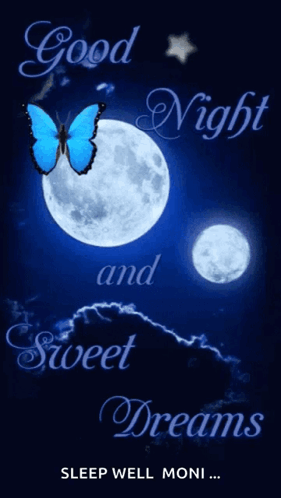Blue Butterfly Flying In Front Of Moon GIF