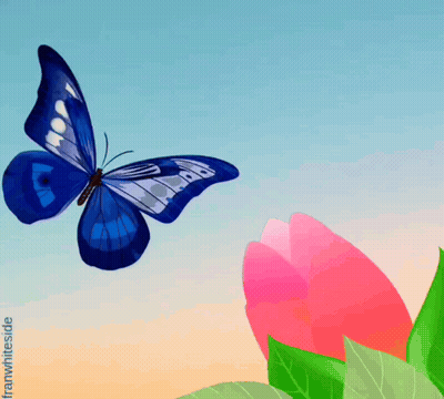 Blue Butterfly Flying Over Pink Flower GIF