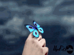 Blue Butterfly Hands