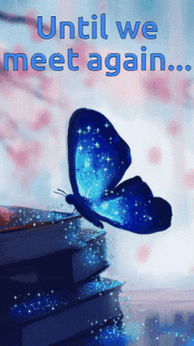 Blue Butterfly On Books Saying Until We Meet Again GIF