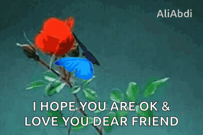 Blue Butterfly On Red Rose I Hope You Are Ok Love You Dear Friend GIF