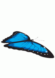 Blue Butterfly Sticker Flying